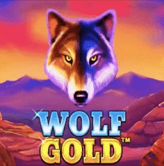 Wolf Gold Pragmaticplay Spielautomat bei Afkspin Casino